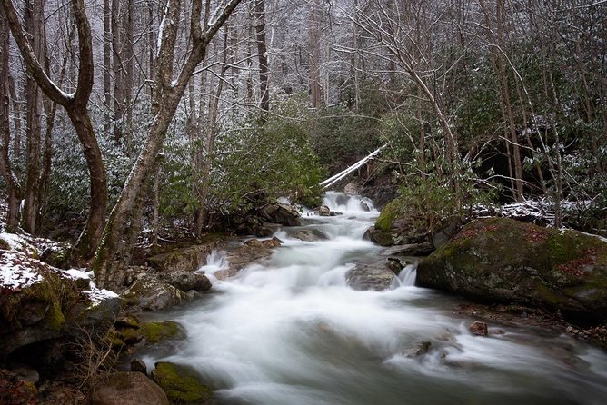 Full-Day Tour With Instruction in Vistas & Waterfall Photography - Health and Safety Guidelines