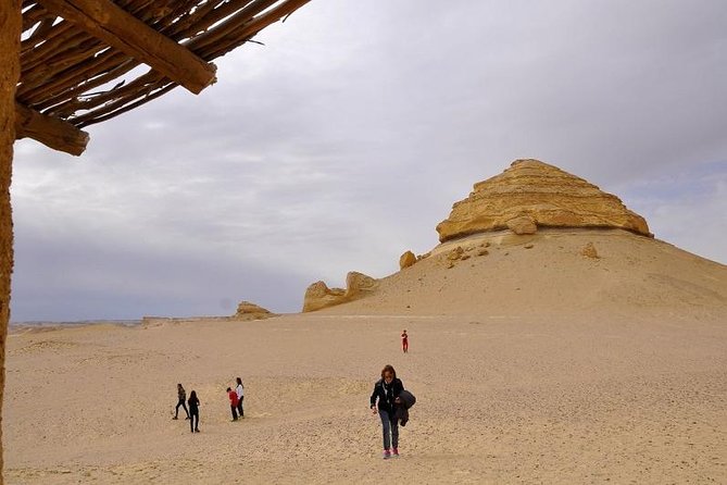 Full Day Trip to El-Fayoum Oasis & Wadi El-Hitan From Cairo - Customer Reviews and Feedback