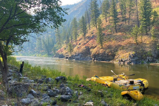 Full-Day Whitewater Rafting Tour on the Salmon River - Safety and Accessibility