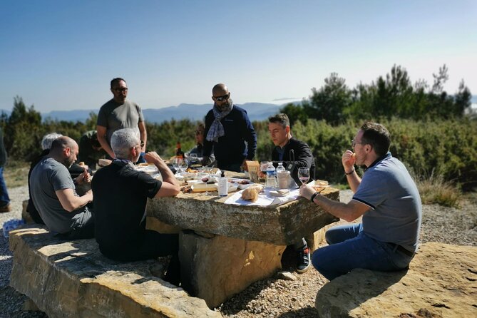 Full Day: Wine Tour of the Cassis Vineyards - Discovering the Cassis Vineyards