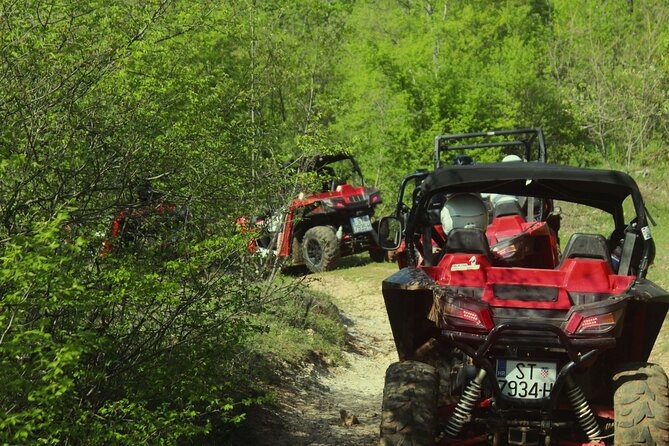 Fun Buggy/Quad Tour - Cancellation Policy