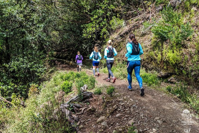 Funchal Half-Day Trail Running Small-Group Tour - Additional Information and Assistance