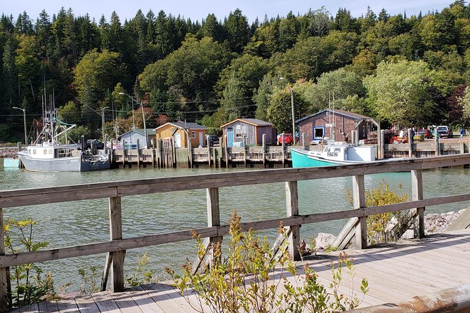 Fundy Coast to Fundy Shore Tour - Tips for a Great Experience