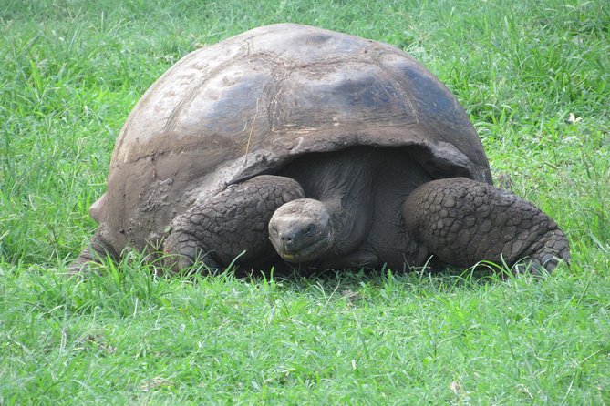 GALAPAGOS IDEAL (3Days) - Traveler Considerations