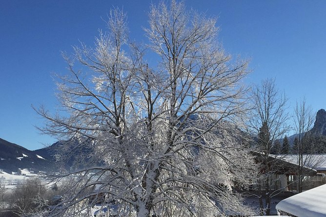 Garmisch-Partenkirchen Walking Tour - Exploring Garmisch-Partenkirchen