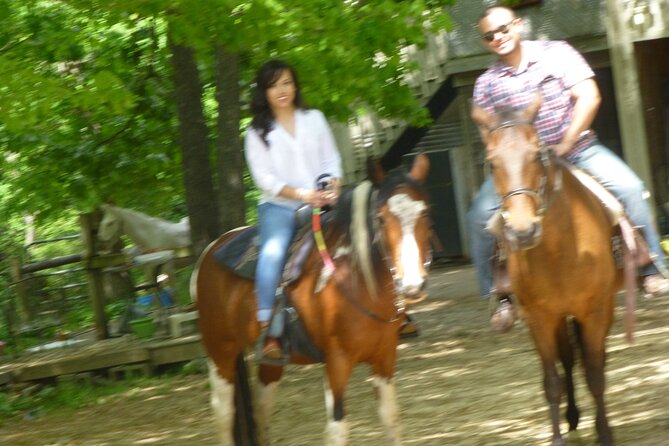 Georgia Horseback Ride With Wine Tasting - Winery Visit and Tasting