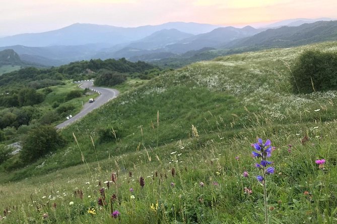 German Village in Georgia (Elisabethal) & Wine Tasting - Bodbe Monastery