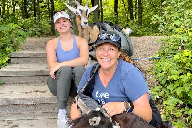 Goat Hiking, Beaver Dam Visit and Picnic in Quebec Forest - Traveler Reviews and Recommendations