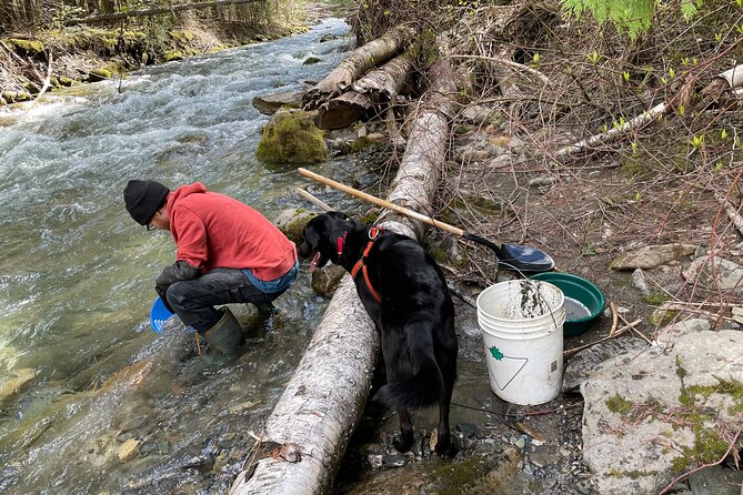 Gold Panning Activity at Mission Creek - Getting There