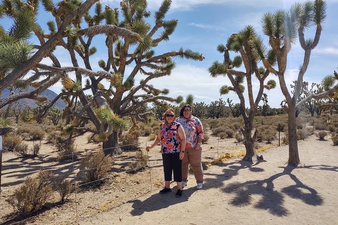 Grand Canyon West/Joshua Tree Forest/Historic Western Ranch Meal - Guest Experiences and Testimonials