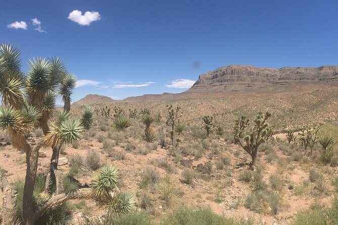 Grand Canyon West Rim Cabin and Helicopter Tour From Las Vegas - Transportation Information