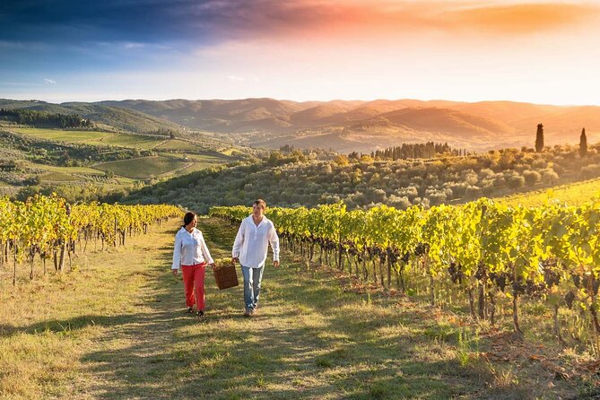 Grape Stomping and Wine Tasting in Tuscany - Grape Stomping Experience
