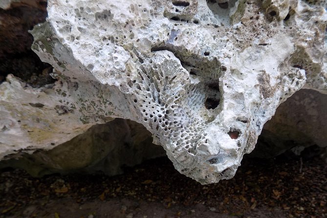 Green Grotto Caves Excursion From Port Antonio - Exploring the Green Grotto Caves