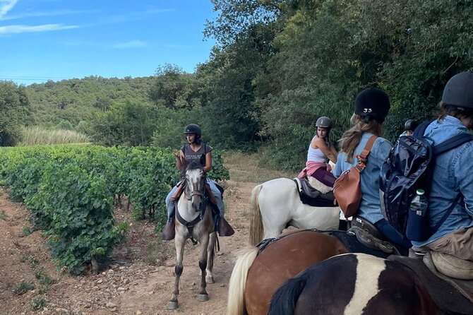 Grimaud Horse Riding and Wine Tasting Review - Since You Asked