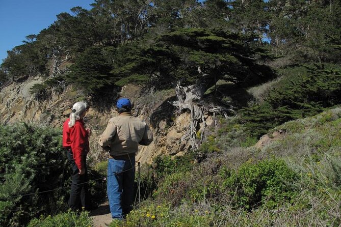 Guided 2-Hour Point Lobos Nature Walk - Guide Experience and Reviews