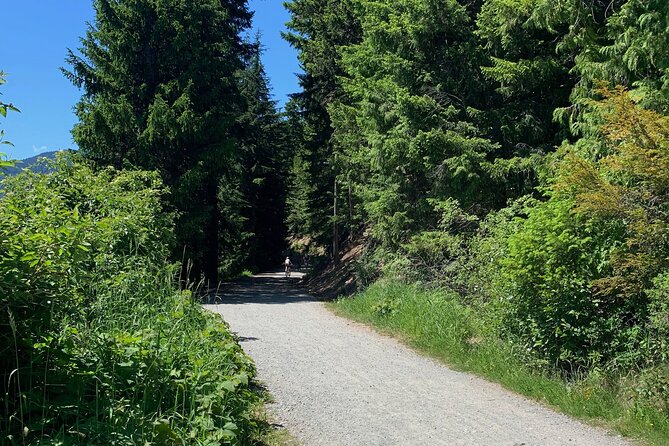 Guided Bike /E-bike Tour in Whistler From Vancouver - Reviews and Pricing