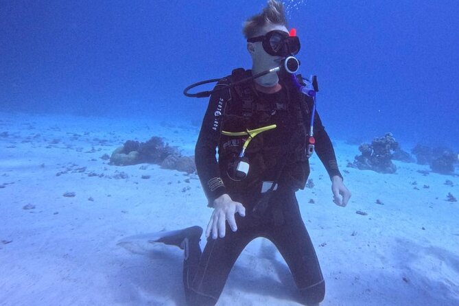 Guided Diving Experience for Padi OW in Red Sea and Sinai - Accessibility and Considerations