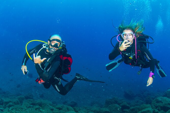 Guided Immersion From Santa Cruz De Tenerife - Viators Established Presence