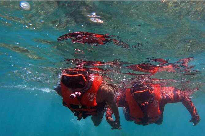 Guided Kayak and Snorkeling Tour - Olowalu - Booking Information