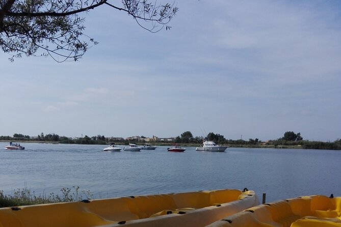 Guided Kayak Tour to Gracia Island - Since You Asked