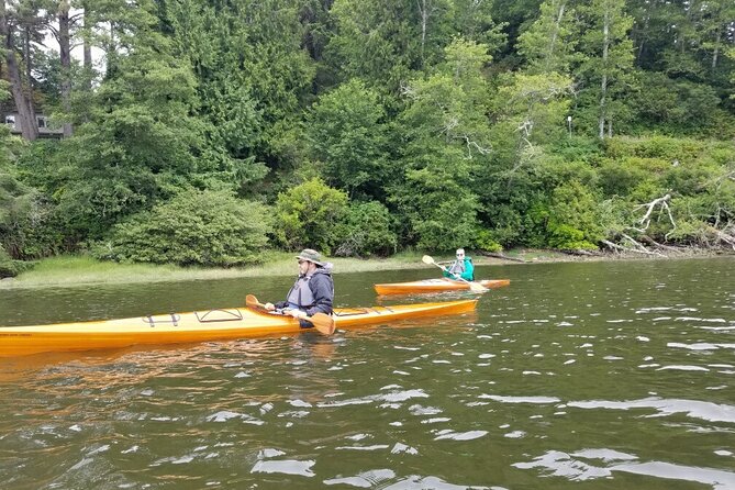 Guided Kayak Tours on the Salmon River Estuary in Otis, Oregon - Cancellation and Booking Policies