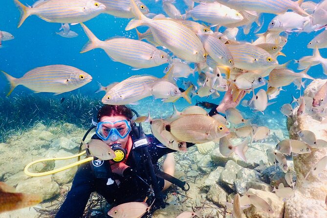 Guided Scuba Diving Experience in Kusadasi - The Sum Up