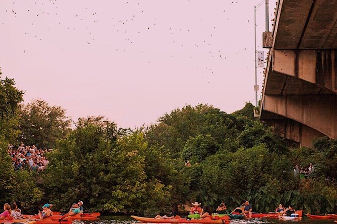 Guided Sunset Bat Kayak Tour in Austin - Traveler Feedback