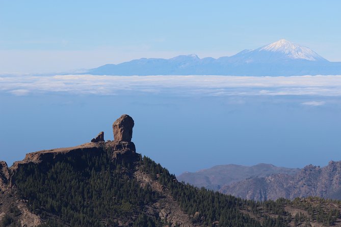 Guided Tour: Discover Gran Canaria - Customer Feedback
