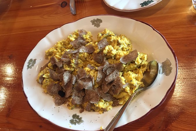Guided Truffle Hunt Istria - Tasting and Sampling