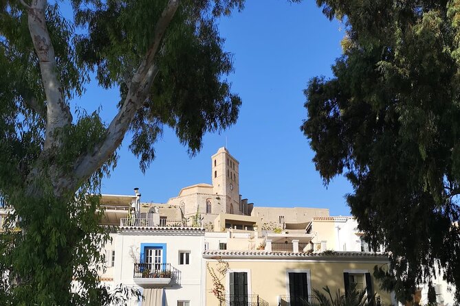 Guided Walking Tour in Dalt Vila and Art Workshop - Accessibility and Requirements