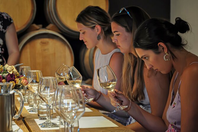 Guided Winery Tour and Wine Tasting in Siena - Booking Information