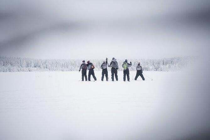 Half-Day Backcountry Skiing Tour in Levi With Photography Guide - Health and Accessibility