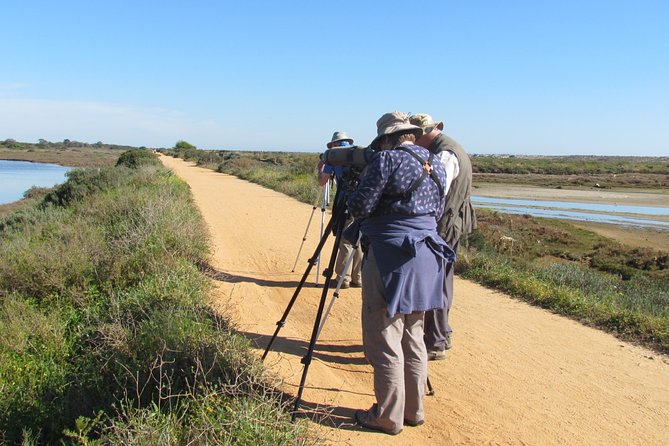 Half-Day Birdwatching Around Tavira - Tour Duration and Itinerary