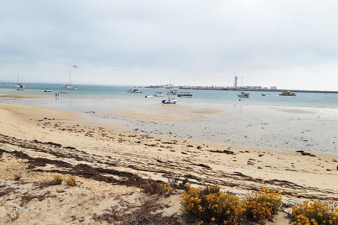 Half-Day Boat Trip to the Ria Formosa Islands - Customer Reviews