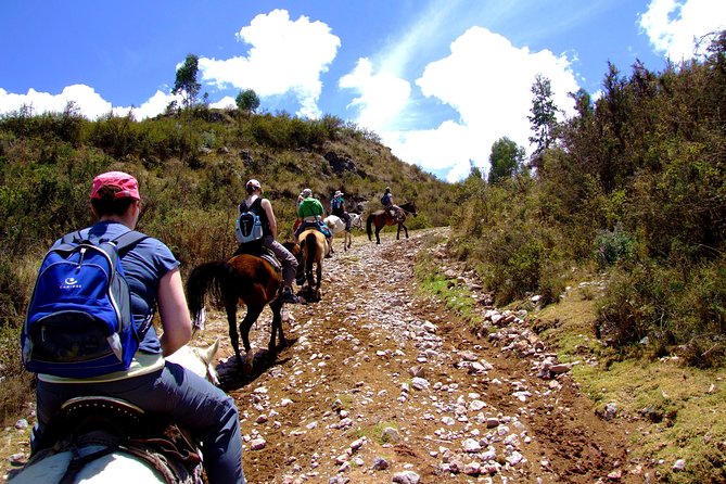 Half Day - City Horse Traditional Riding Tour Group Service - Questions About Your Stay