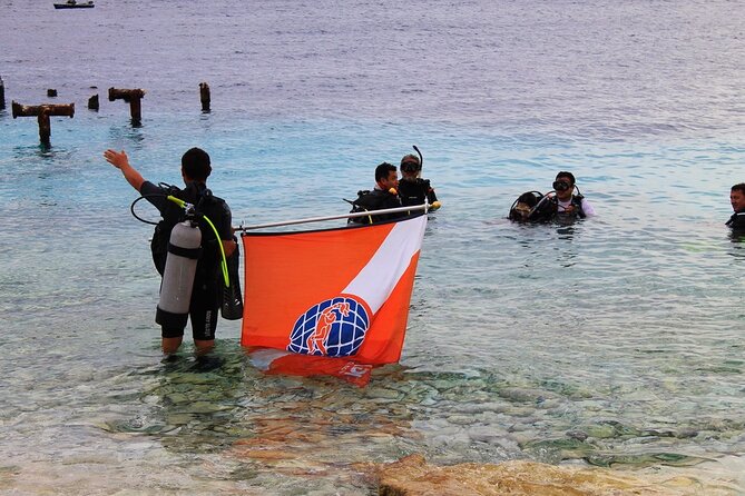 Half Day Diving Adventure With Transportation Included - Highlights of the Experience