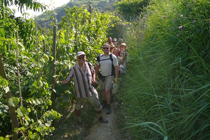 Half-Day East Coast Hike in Ischia Island With Pick-Up - Transparent Pricing Structure