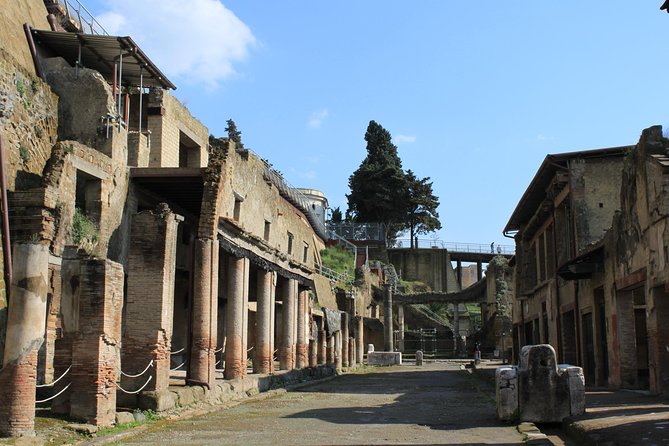 Half Day Herculaneum From Sorrento - Participant Information