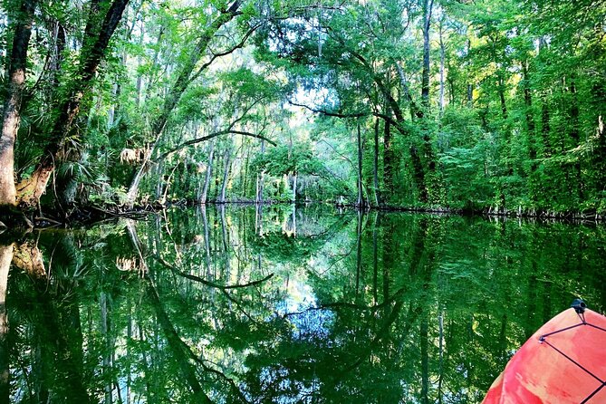 Half Day Kayak and Paddle Board Rentals on the Scenic Dora Canal - Choosing Your Watercraft