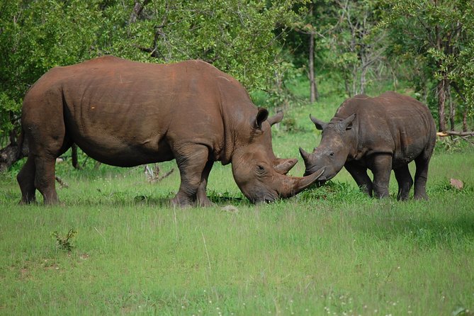 Half-Day Nature Walk in Mosi-Oa-Tunya National Park From Livingstone - Tour Inclusions and Accessibility