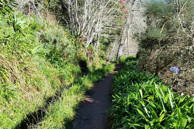 Half-Day Paradise Valley Walking Tour - Participation Requirements