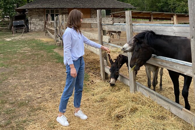 Half-Day Private Guided Tour of Orheiul Vechi and a Farmhouse - Traveler Reviews