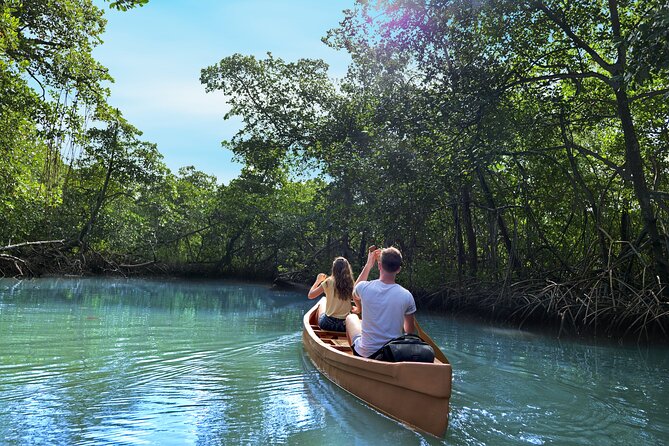 Half-Day Private Los Haitises Caves and Mangroves Canoe Tour - Exploring the Caves