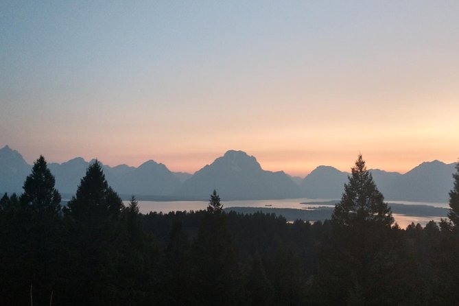 Half Day Private Sunset Wildlife Safari - Booking Information