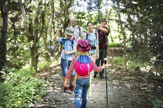 Half Day San Cayetano Farm and Coffee Tour From Puerto Quetzal - Exploring the San Cayetano Farm