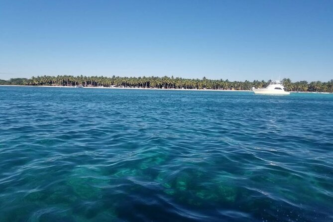 Half-Day Saona Island From La Romana Special for Cruisers - Benefits for Cruisers