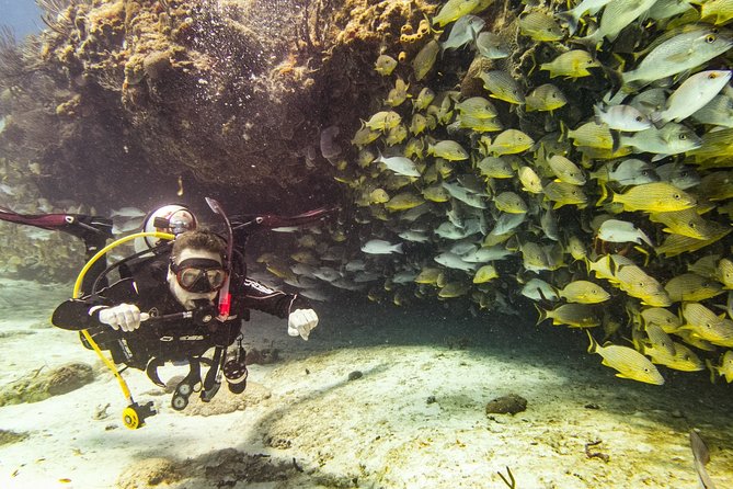 Half-Day Scuba Diving in Playa Del Carmen for Small-Group - Guest Ratings and Feedback