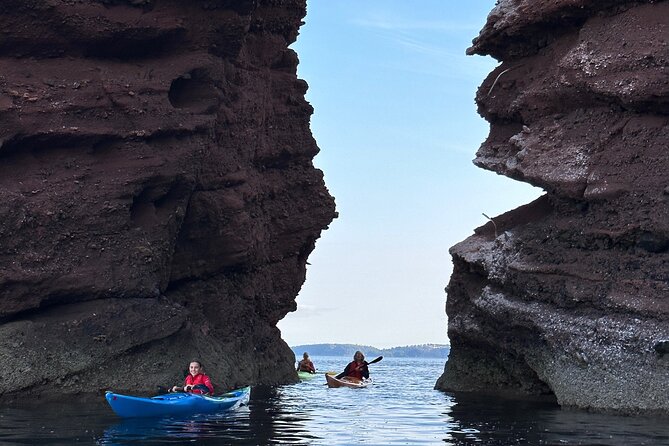 Half Day Sea Kayak Guided Tour - Reviews and Feedback