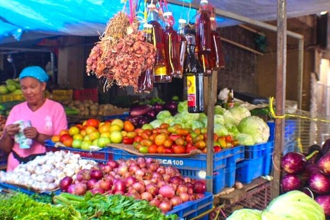 Half-Day Small-Group Cultural Tour From Punta Cana - Operator Response