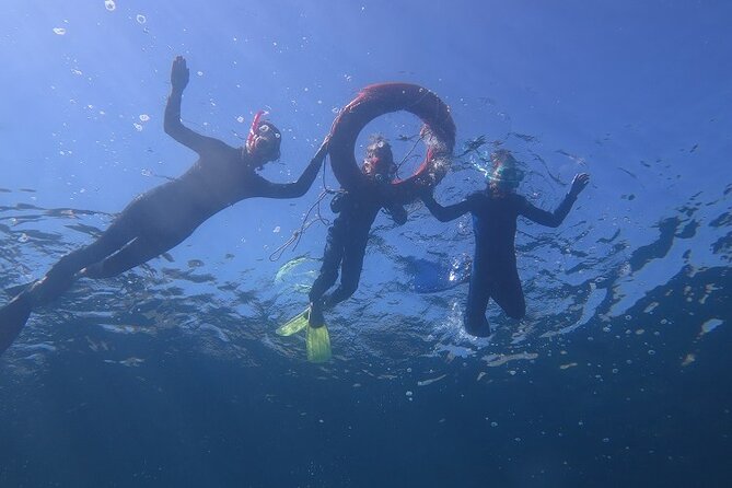 Half Day Snorkelling Experience With a Dive Boat in Kos Greece - Positive Guest Experiences